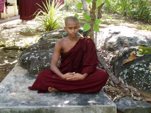 Sri Lanka meditierender Moench