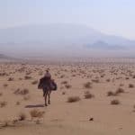 Klosterreisen Meditatives Kameltrekking Wüste Sinai Kamel entfernt sich von Karawane