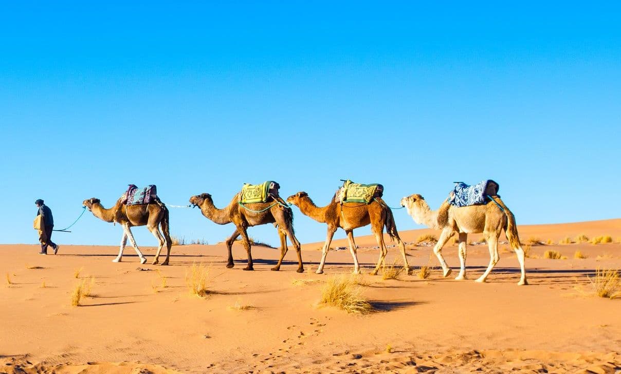 Wüstenerlebnis und Kameltrekking in der Sahara, Marokko