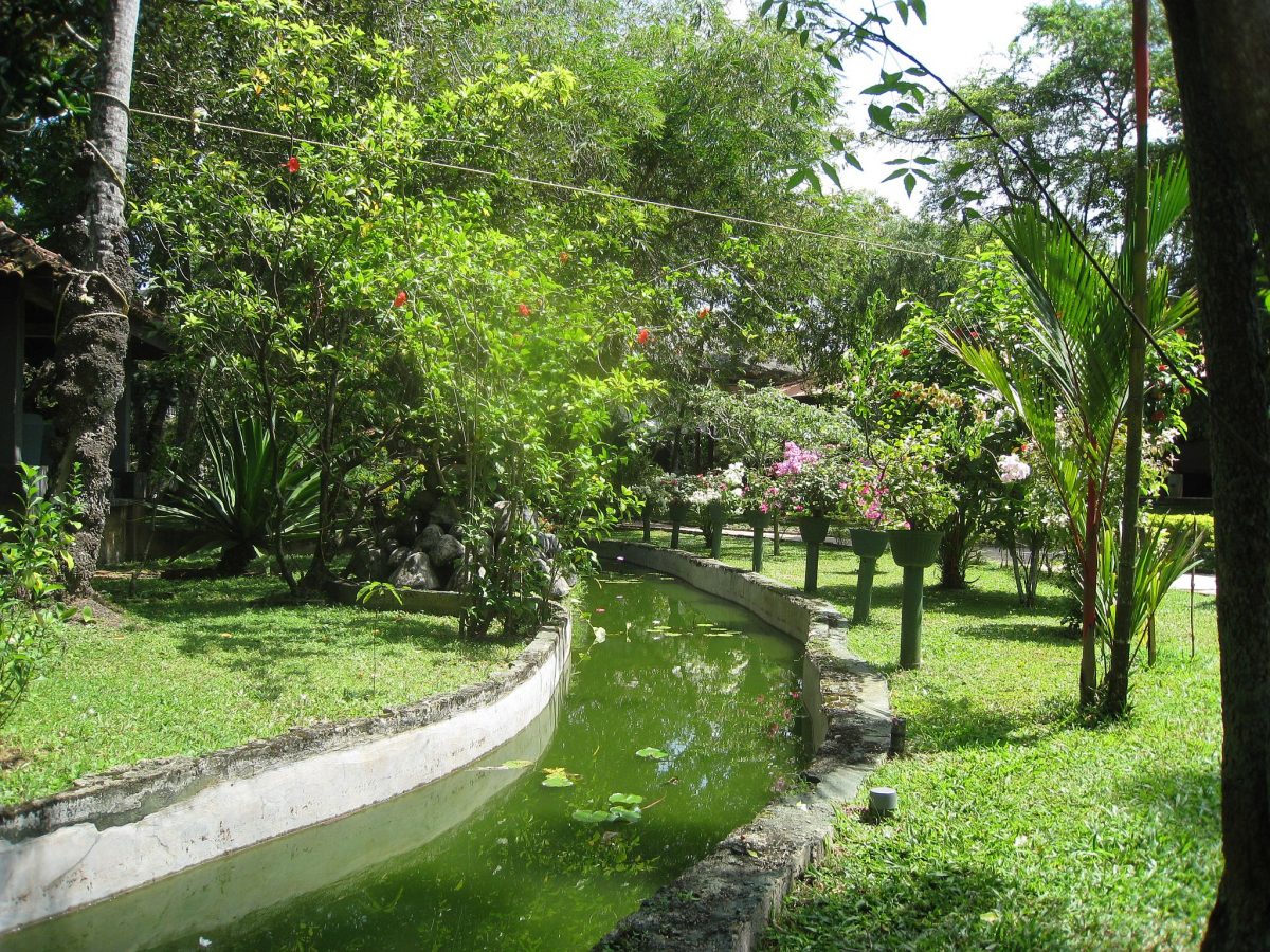 Klosterreisen Retreat Sri Lanka Ayurveda und Meditation Siddhalepa Ayurveda Health Resort Garten