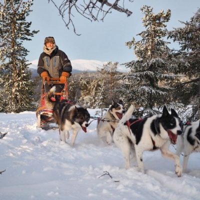 Mit Schlittenhunden durch Lappland, Finnland