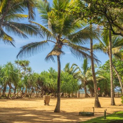Ayurveda im Siddhalepa Ayurveda Health Resort – Sri Lanka