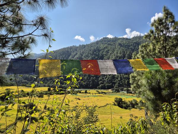 Bhutan Wanderung Reisfelder und Gebetsfahnen